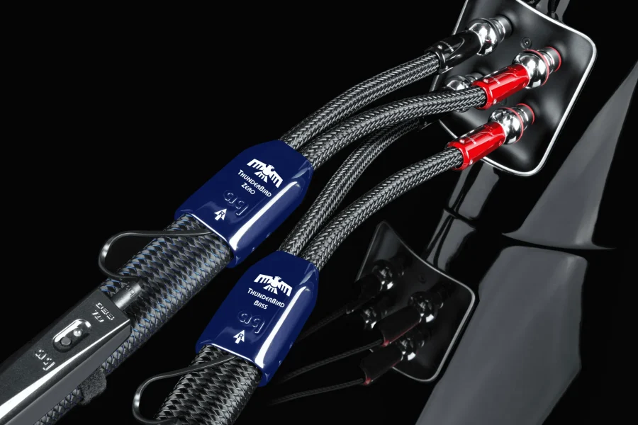 ThunderBird-Speaker-Bananas-BiWire-upsacled-upscale-2x-3